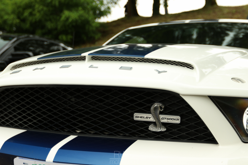 Illustration for article titled Classic British Welcome Photos (Le Mans Carshow)